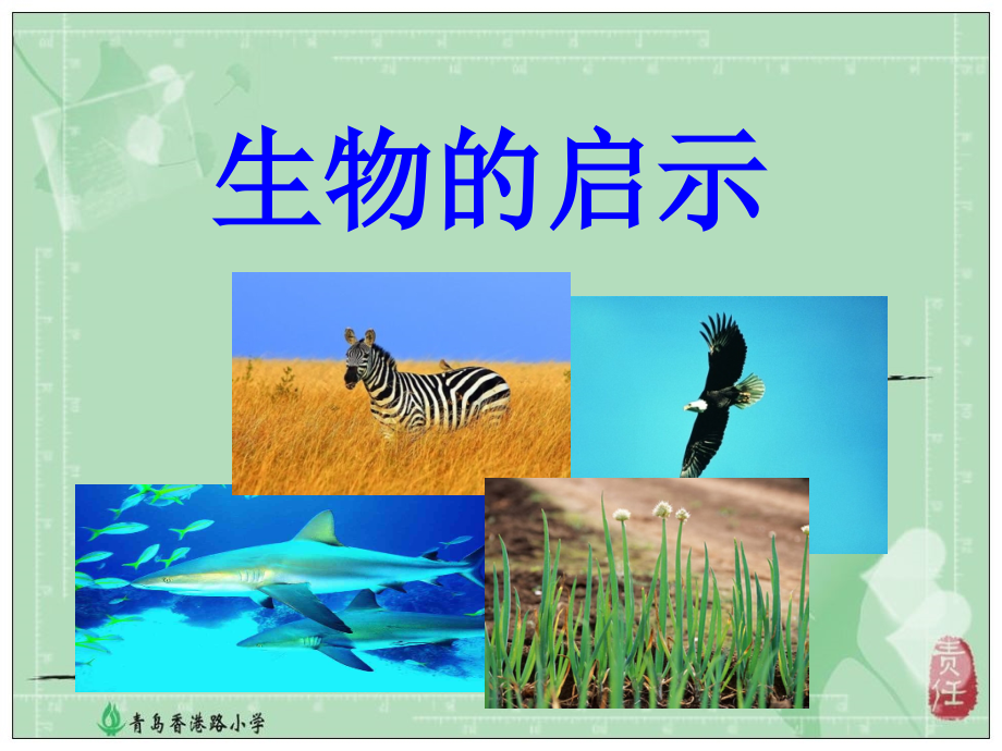 青岛版小学科学六年级上册《生物的启示》课件　.ppt_第1页