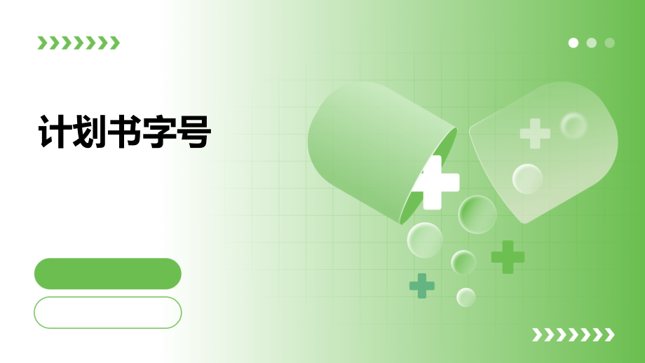 计划书字号.pptx_第1页