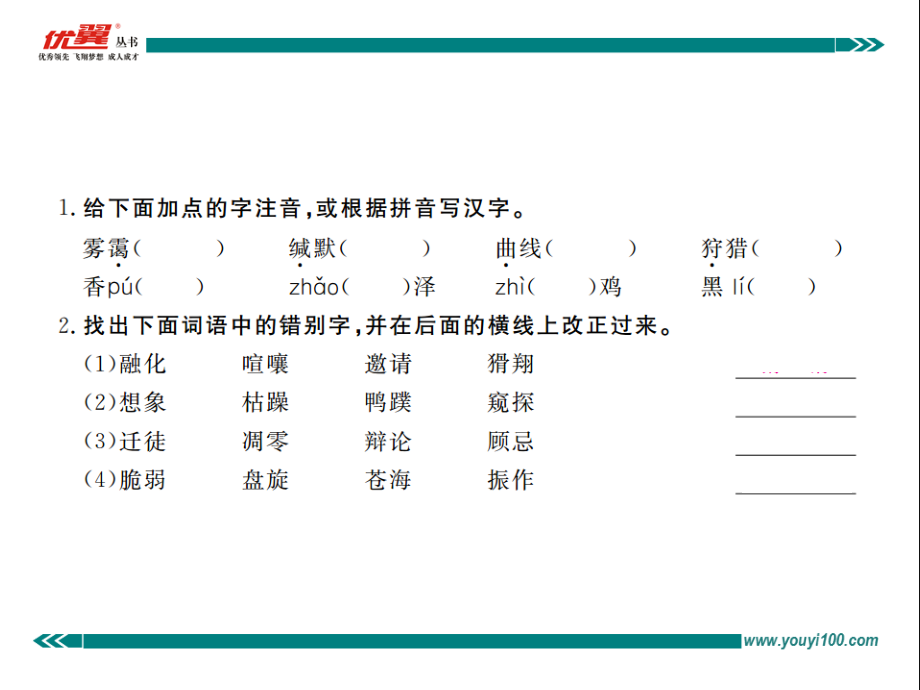 大雁归来.大雁归来同步作业.ppt_第2页