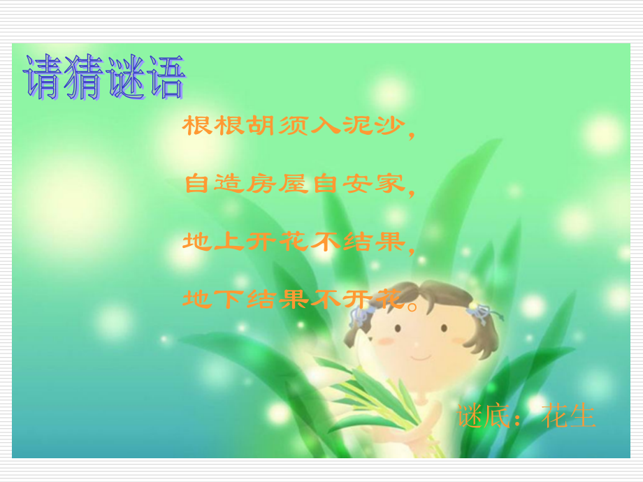 落花生课件 (3).ppt_第2页