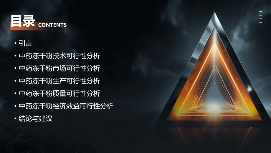 中药冻干粉可行性报告.pptx_第2页