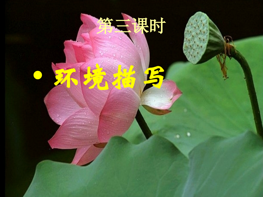 分析环境描写.ppt_第2页