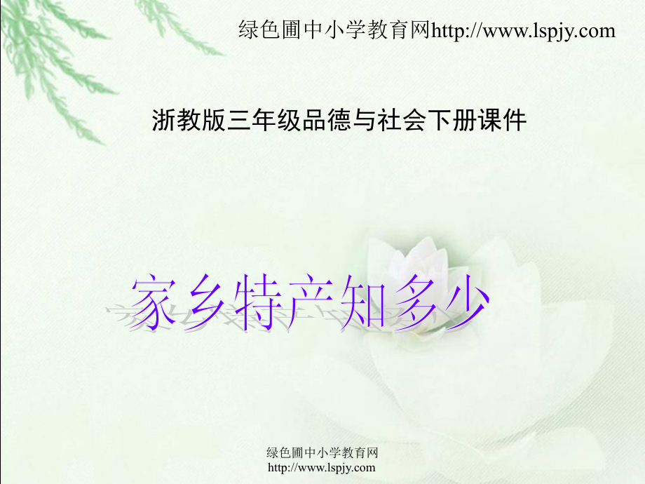 浙教版小学三年级下册第二单元品德与社会《家乡特产知多少PPT课件》.ppt_第1页