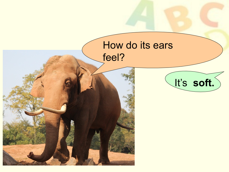 elephant.ppt_第1页