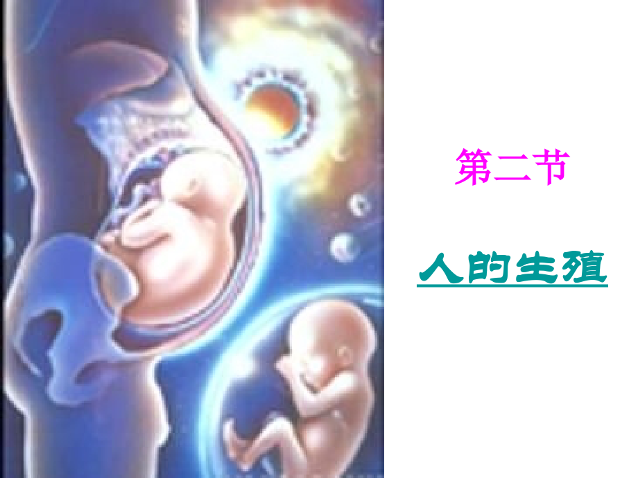 好《第一章第二节人的生殖》课件8.ppt_第1页