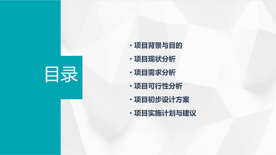 项目初步分析报告.pptx_第2页