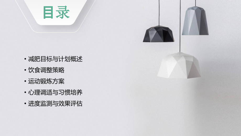 女士减肥计划书.pptx_第2页