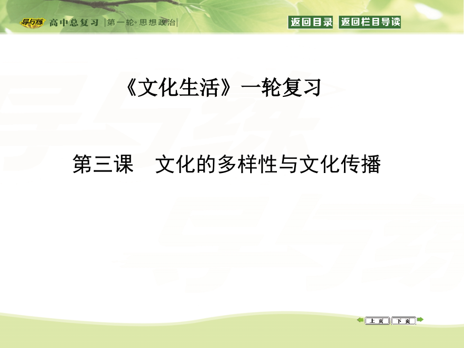 第三课　文化的多样性与文化传播.ppt_第1页