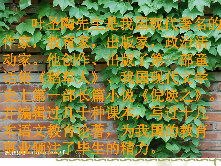 《那片绿绿的爬山虎》PPT课件_(2)_-_人教新课标小学语文四年级上册.ppt_第2页