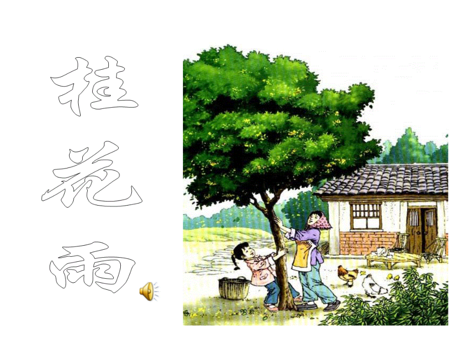 桂花雨 (4).ppt_第2页