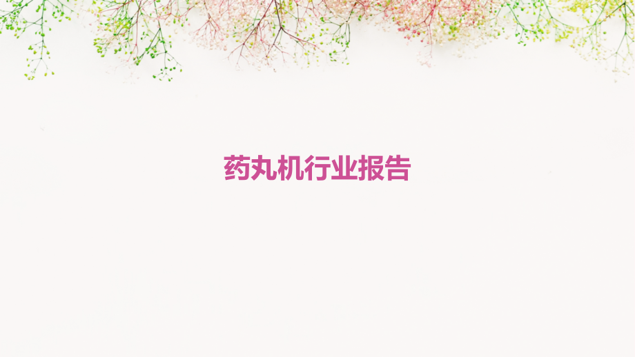 药丸机行业报告.pptx_第1页
