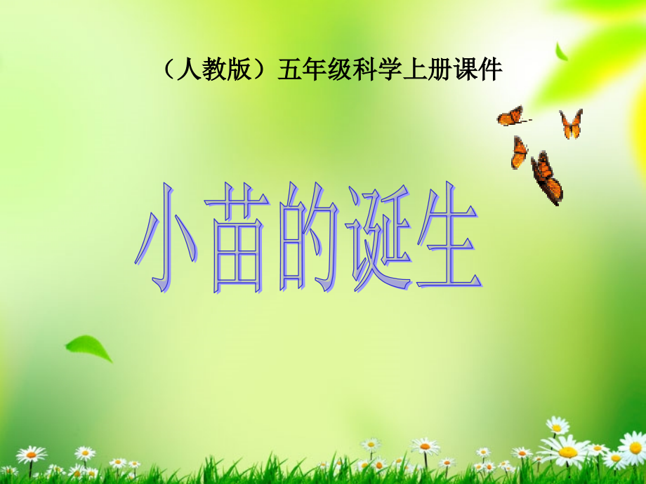 五年级科学上册_小苗的诞生_1课件_人教版.ppt_第1页