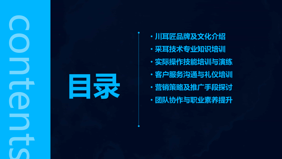 川耳匠培训课件.pptx_第2页