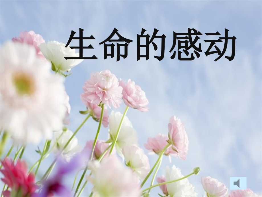 生命的感动第二课时.ppt_第1页