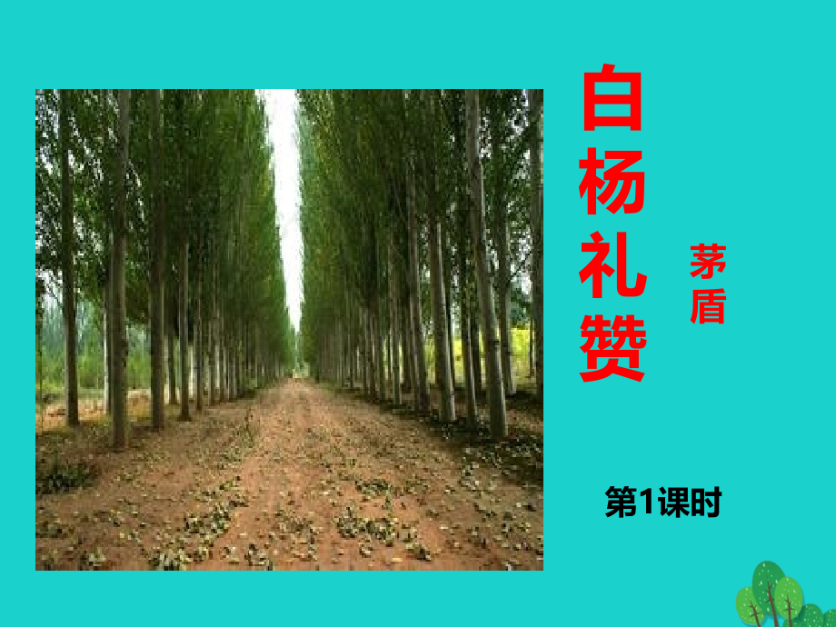 白杨礼赞第一课时.ppt_第1页