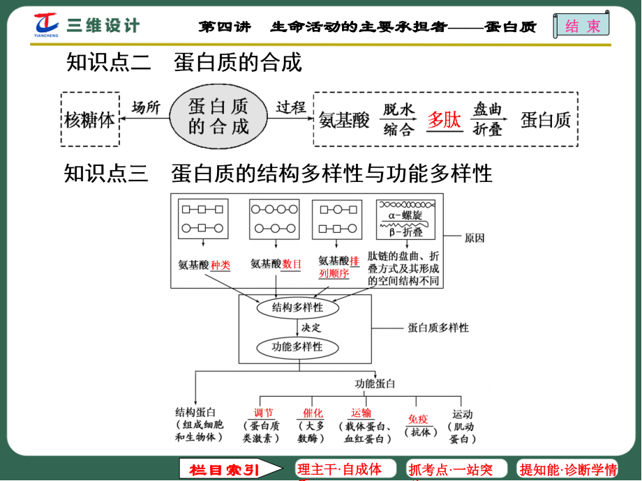 第四讲生命活动的主要承担者——蛋白质.ppt_第2页
