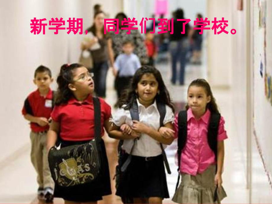 泰迪的故事 (2).ppt_第2页