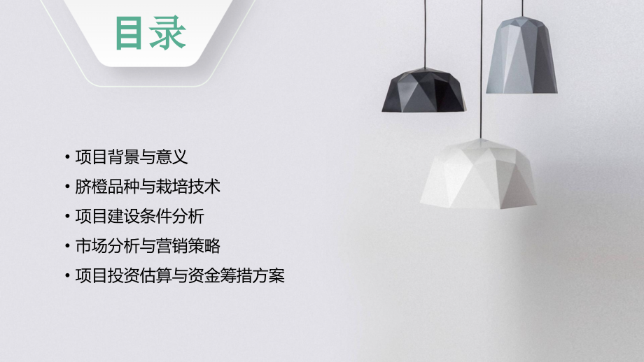 脐橙可行性报告.pptx_第2页