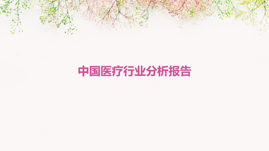 中国医疗行业分析报告.pptx_第1页