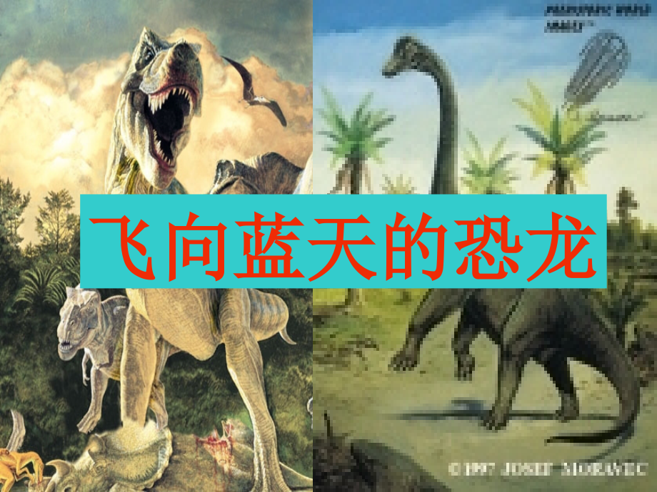 《飞向蓝天的恐龙》(冯思佩).ppt_第1页
