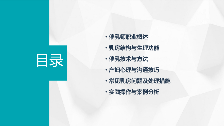 陕西催乳师培训中心课件.pptx_第2页
