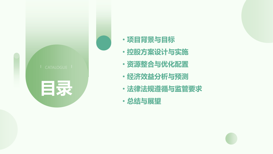 控股可行性方案.pptx_第2页