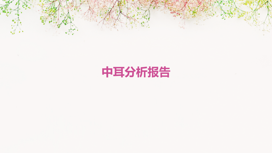 中耳分析报告.pptx_第1页