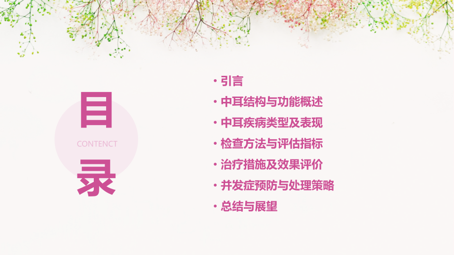中耳分析报告.pptx_第2页