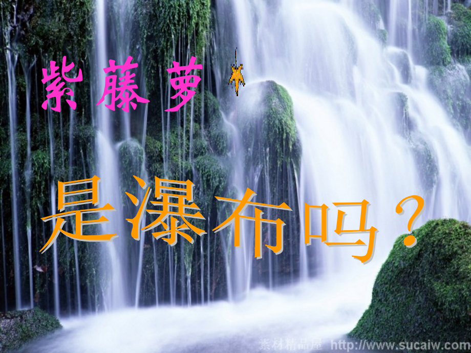 紫藤萝瀑布-课件.ppt_第2页