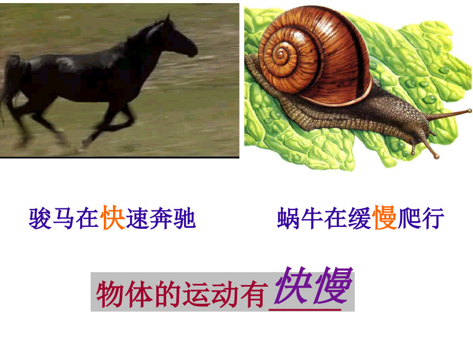 第三节：运动的速度.ppt_第2页