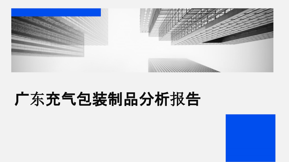 广东充气包装制品分析报告.pptx_第1页