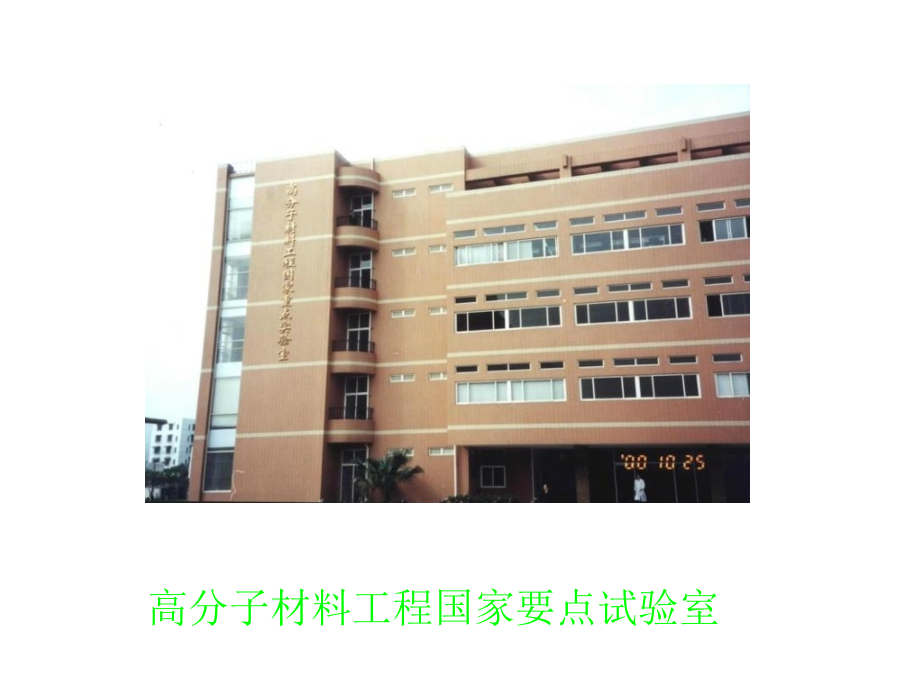 苯并恶嗪树脂及其在复合材料中的应用.pptx_第2页