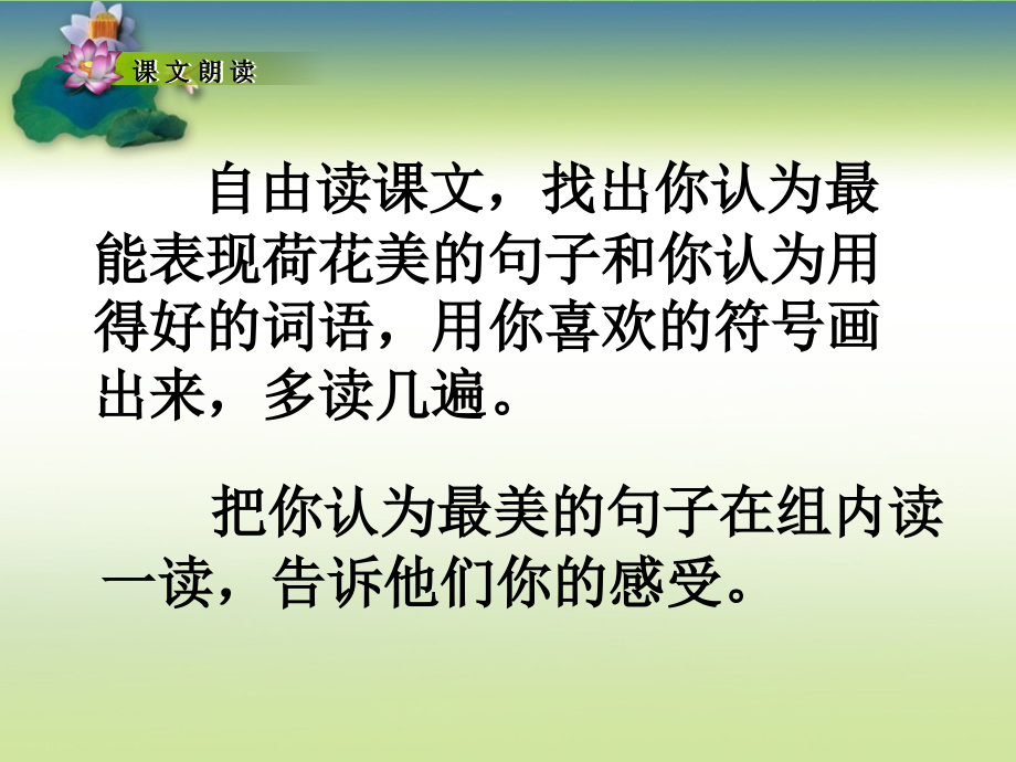 《荷花》课件3.ppt_第2页