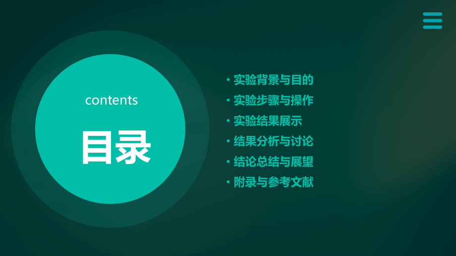 实验报告结果及分析.pptx_第2页
