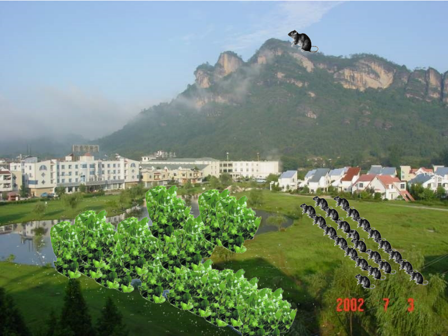 八语·生物入侵者1.ppt_第2页