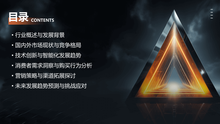 跳绳行业报告.pptx_第2页