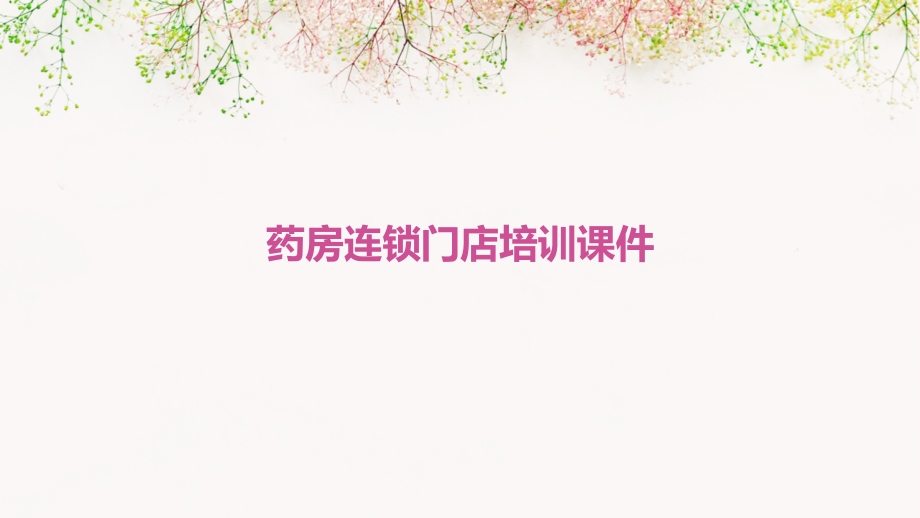 药房连锁门店培训课件.pptx_第1页