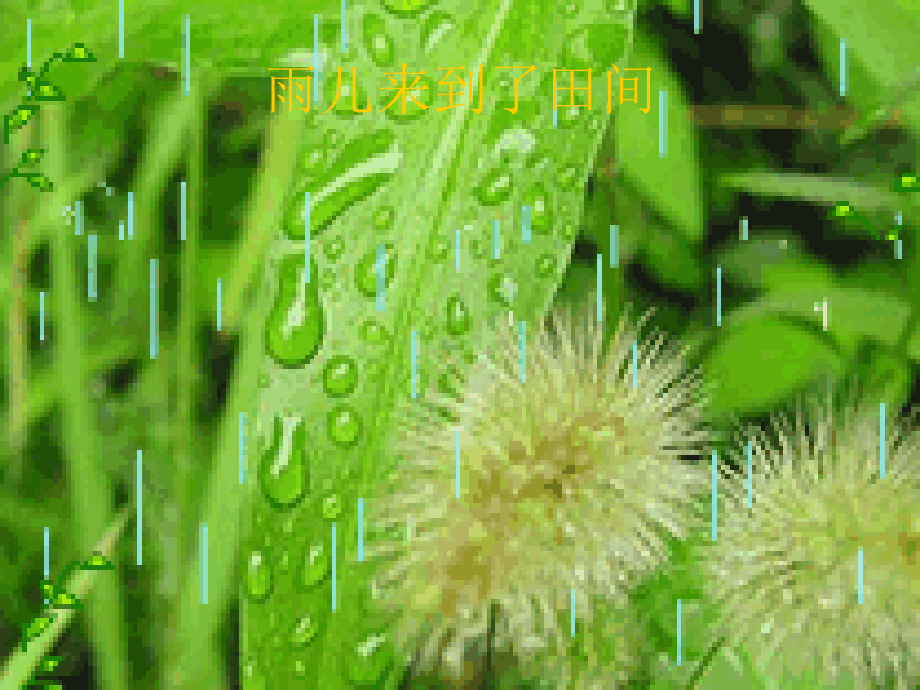 一年四季的雨.ppt_第2页