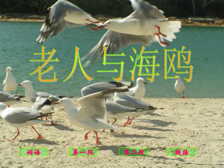 人教版六年级语文上B21《老人与海鸥》课件1.ppt_第1页