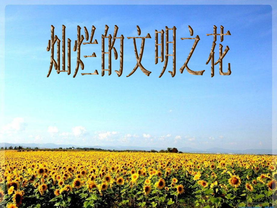 灿烂的文明之花优秀课件.ppt_第2页