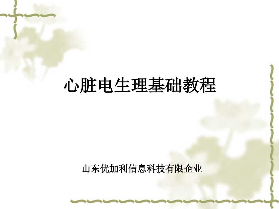 心脏电生理总结.pptx_第1页