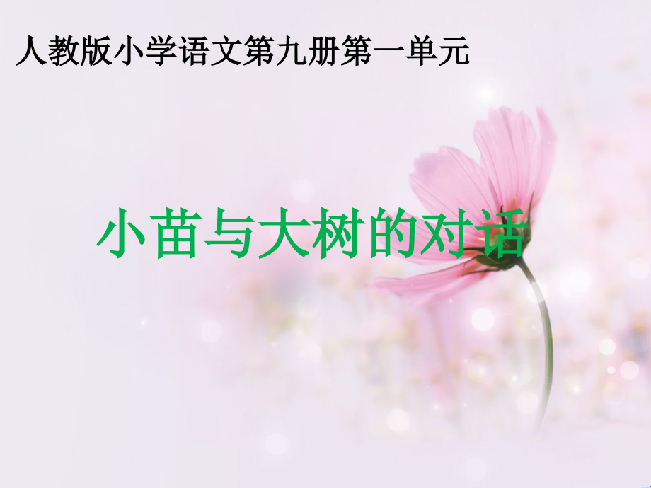 《小苗与大树的对话》教学课件1.ppt_第1页