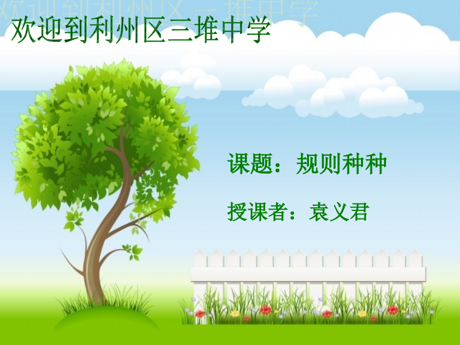 规则种种(袁义君).ppt_第1页