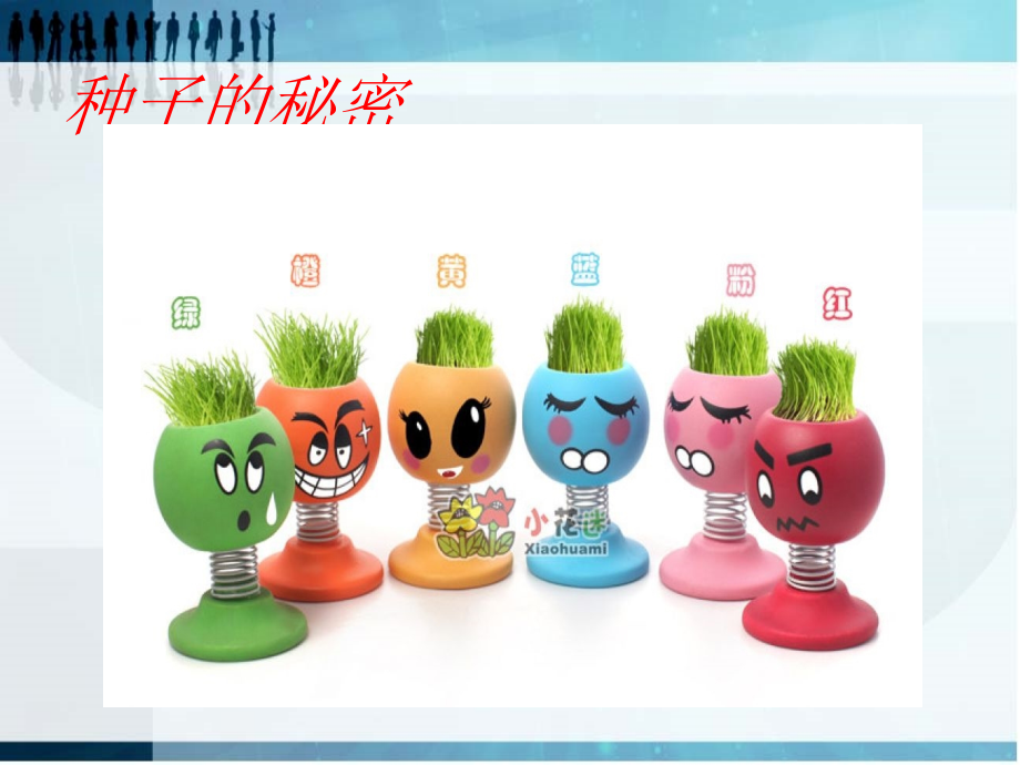 种子在哪里3.ppt_第1页
