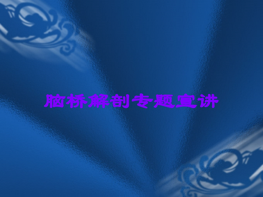 脑桥解剖专题宣讲.ppt_第1页