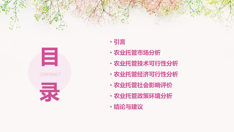 农业托管可行性报告.pptx_第2页