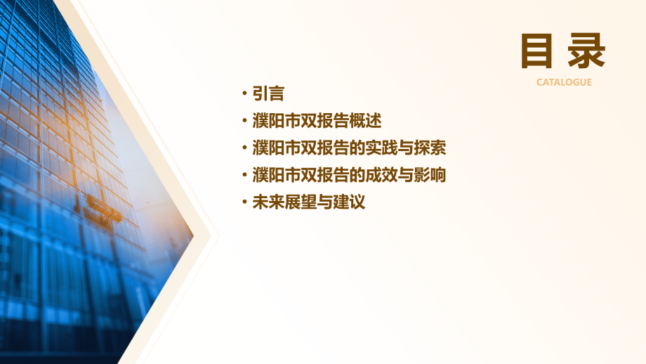 濮阳市双报告.pptx_第2页