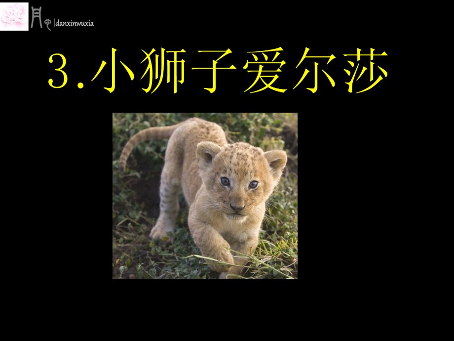 语文S版四年级下册28小狮子爱尔莎.ppt_第1页