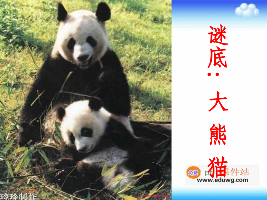 第二课《画大熊猫》ppt课件-冀教版-三年级信息技术上册.ppt_第2页