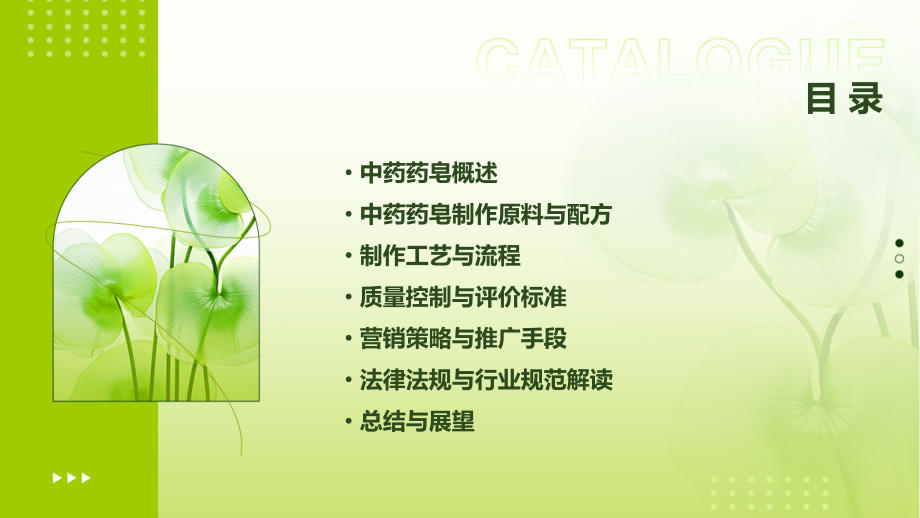 中药药皂制作培训课件.pptx_第2页
